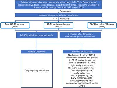 Impact of growth hormone on IVF/ICSI outcomes and endometrial receptivity of patients undergoing GnRH antagonist protocol with fresh embryo transfer: a pilot study